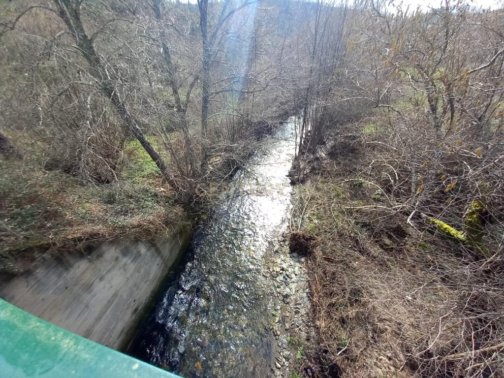 Terreno Rustico com 1450m2 Cerejeira-Alvito da Beira - Image 6